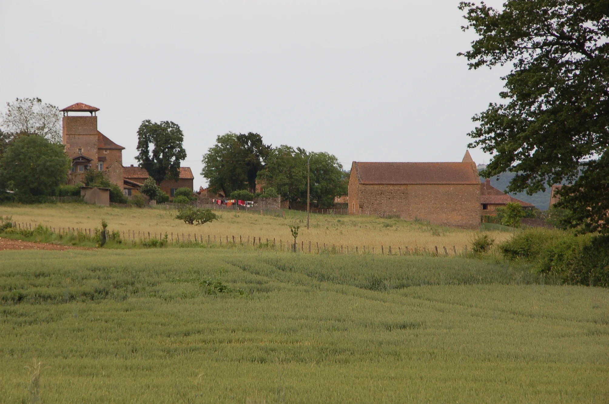 This is what the entire neighborhood of Taize looked liked. I spent much of my summer walking along these pastures and eating lots of cheese. It was a nice change of pace from my normal, task-filled life.