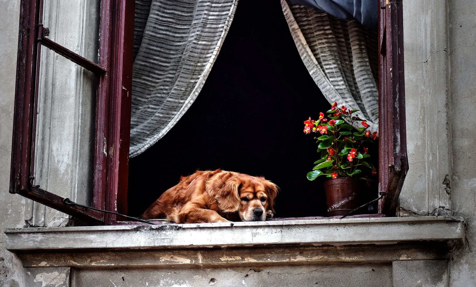 Photo by Theo Rivierenlaan