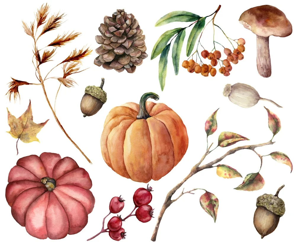 Image from Shutterstock