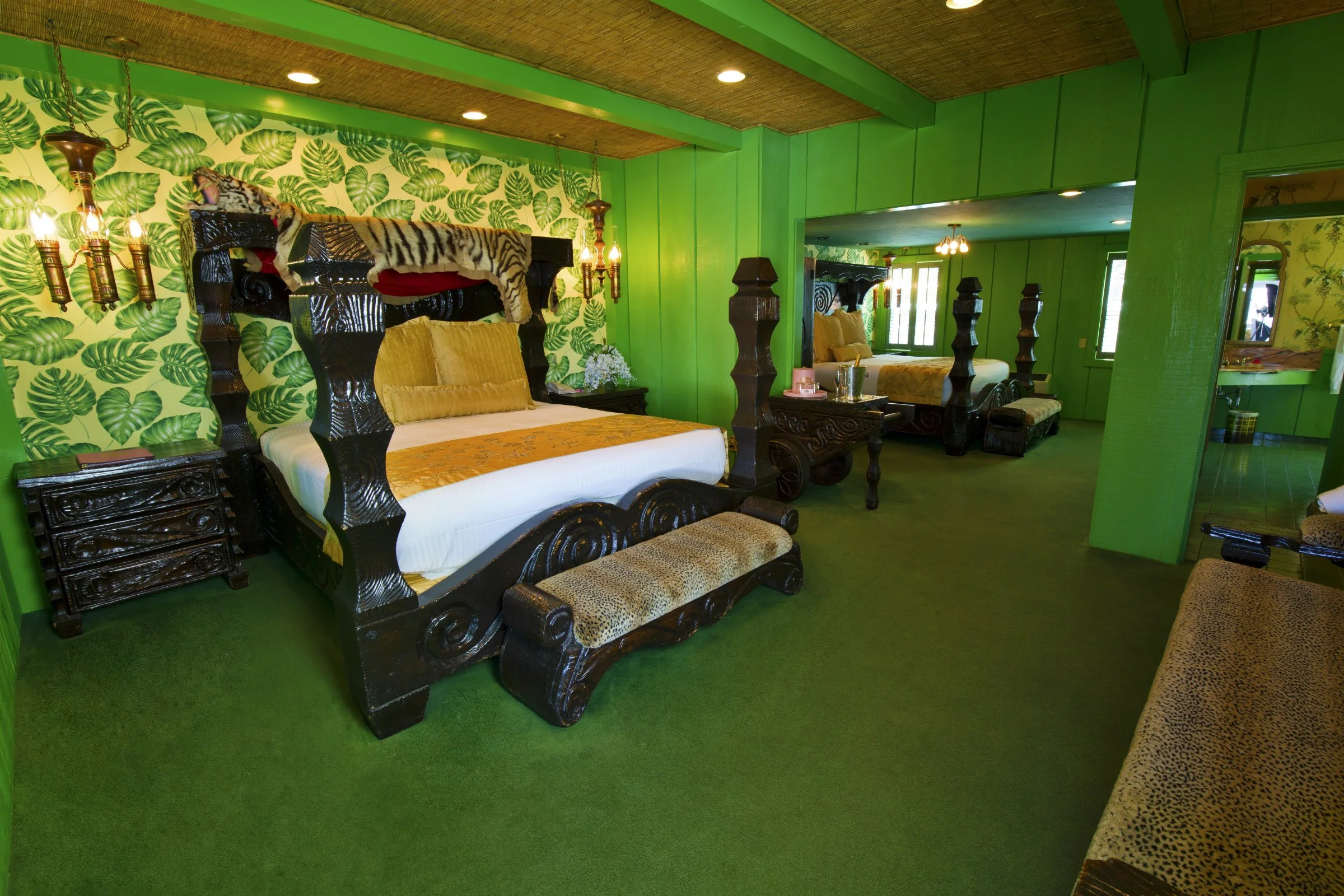 Safari Room 