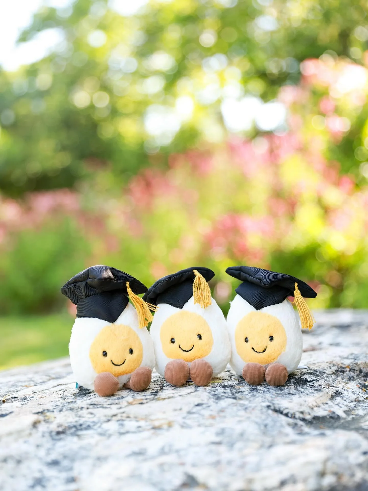 They&rsquo;ve scrambled, they&rsquo;ve studied, they&rsquo;ve conquered! 🧠✨ Celebrate with the Amuseables Boiled Egg Graduation Jellycat- the ultimate grad gift that&rsquo;s equal parts adorable and egg-cellent 🐣🎓