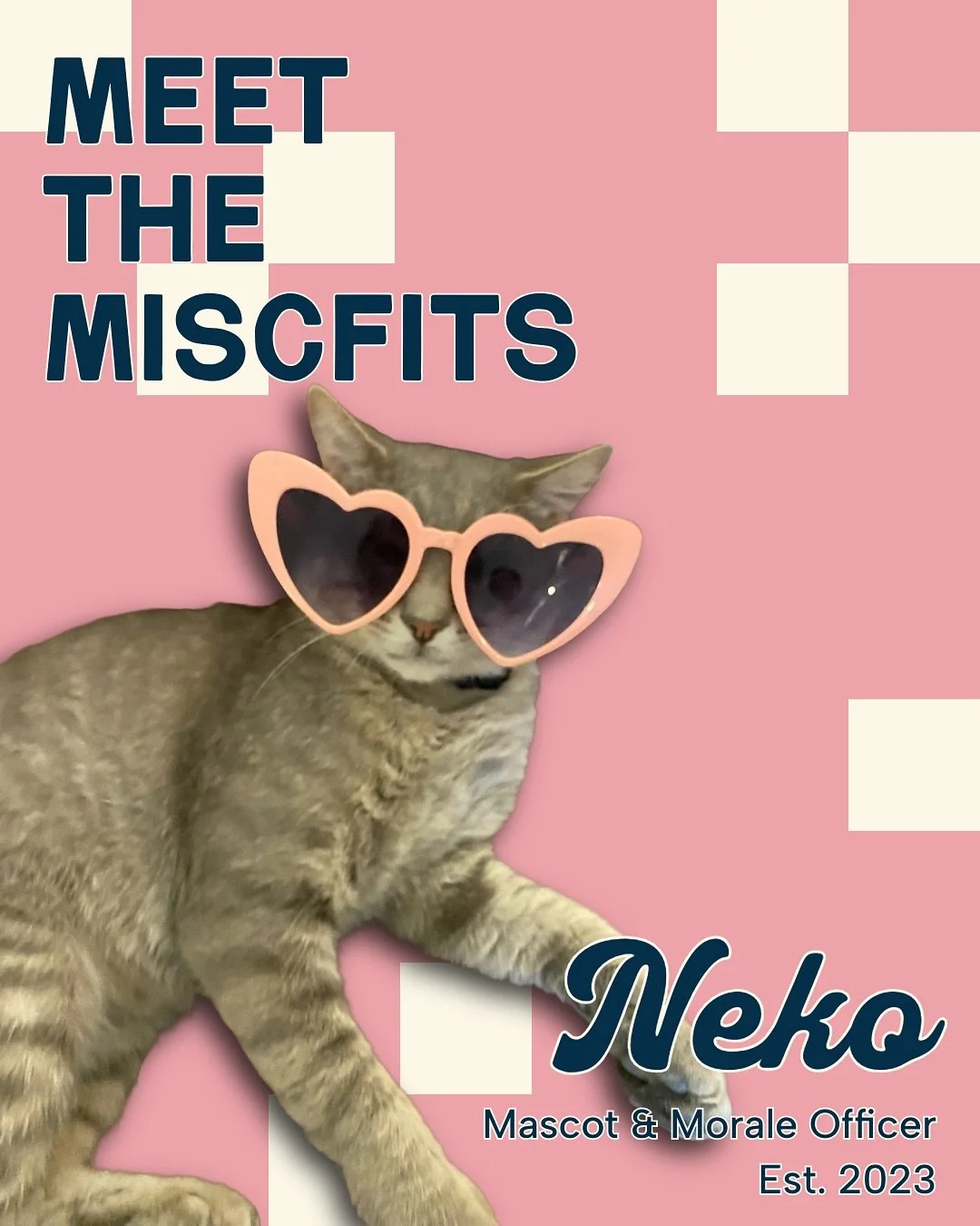 Every office needs a Neko! This man litter-ally never leaves the warehouse. From his fantastic custo-purr service to his meow-ntain of 5 star reviews, he&rsquo;s everyone&rsquo;s fav furry coworker. Plus, he keeps our pest control on lock. 🐁🔎
.
.
.