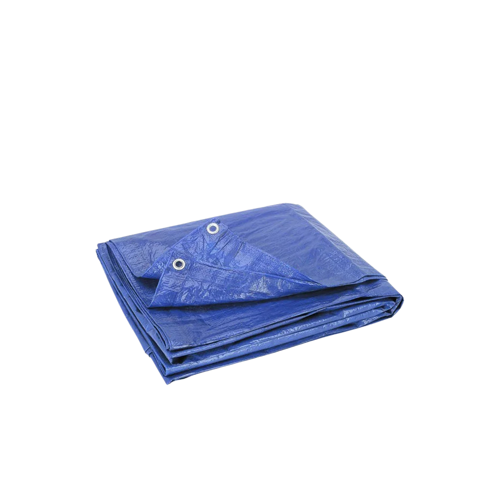 Tarp