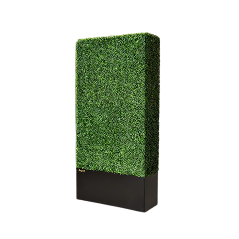 Boxwood Hedge Wall.png