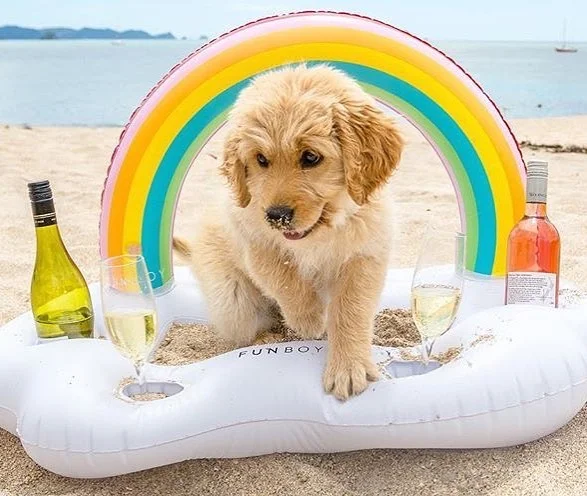 How we feel about it being the weekend 🐶💖 | 📸: @kiwisoffcourse
