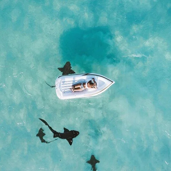 Wishing we we here 🦈🛥 | 📸: @jareddrice_  #wanderlust #bahamas