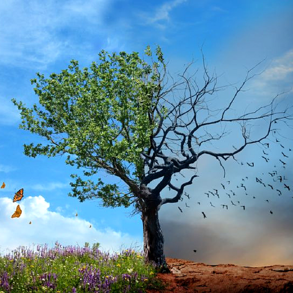 wind+of+change.png