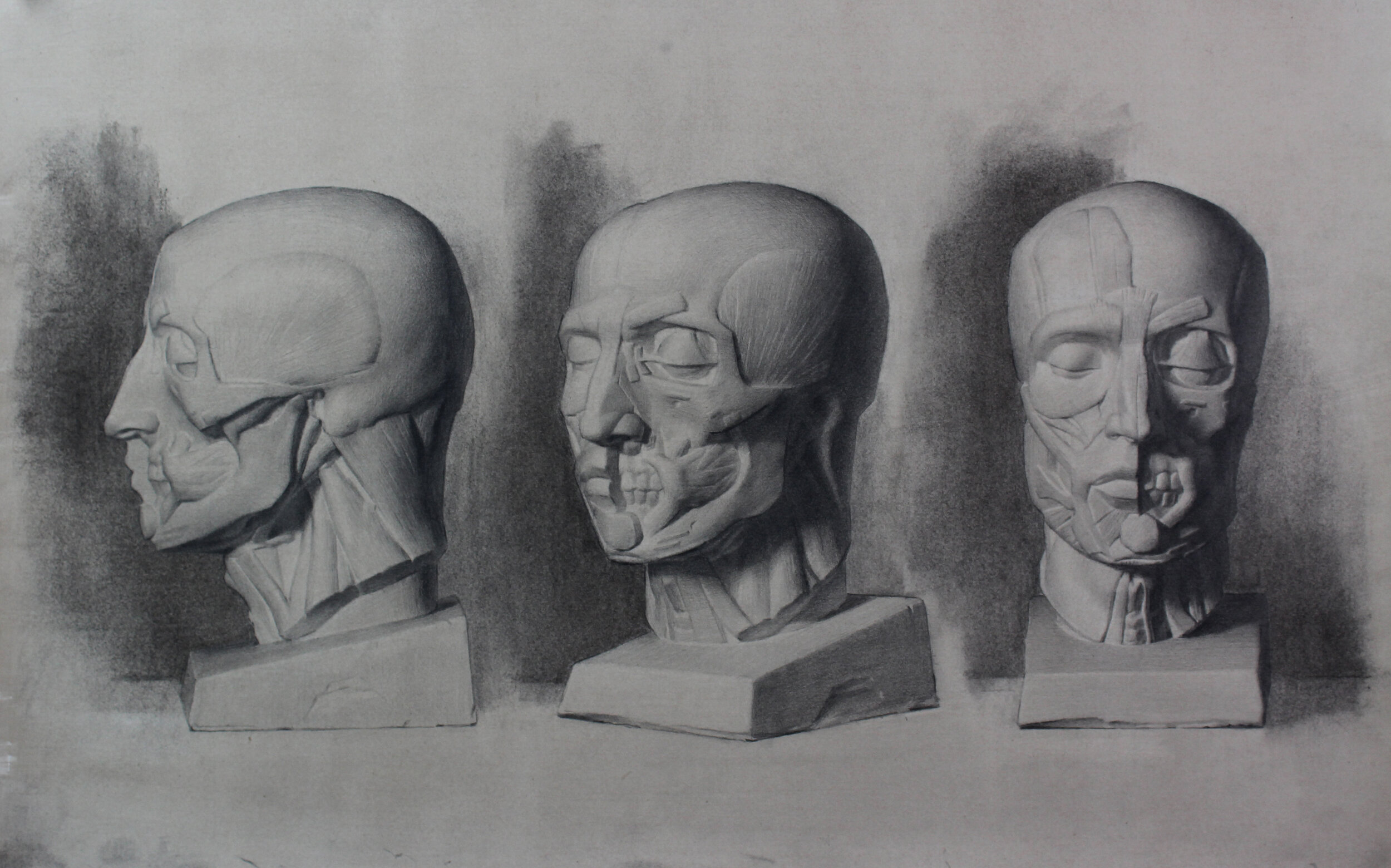 C3730862-3824-4206-9758-A2859AF0F4BD