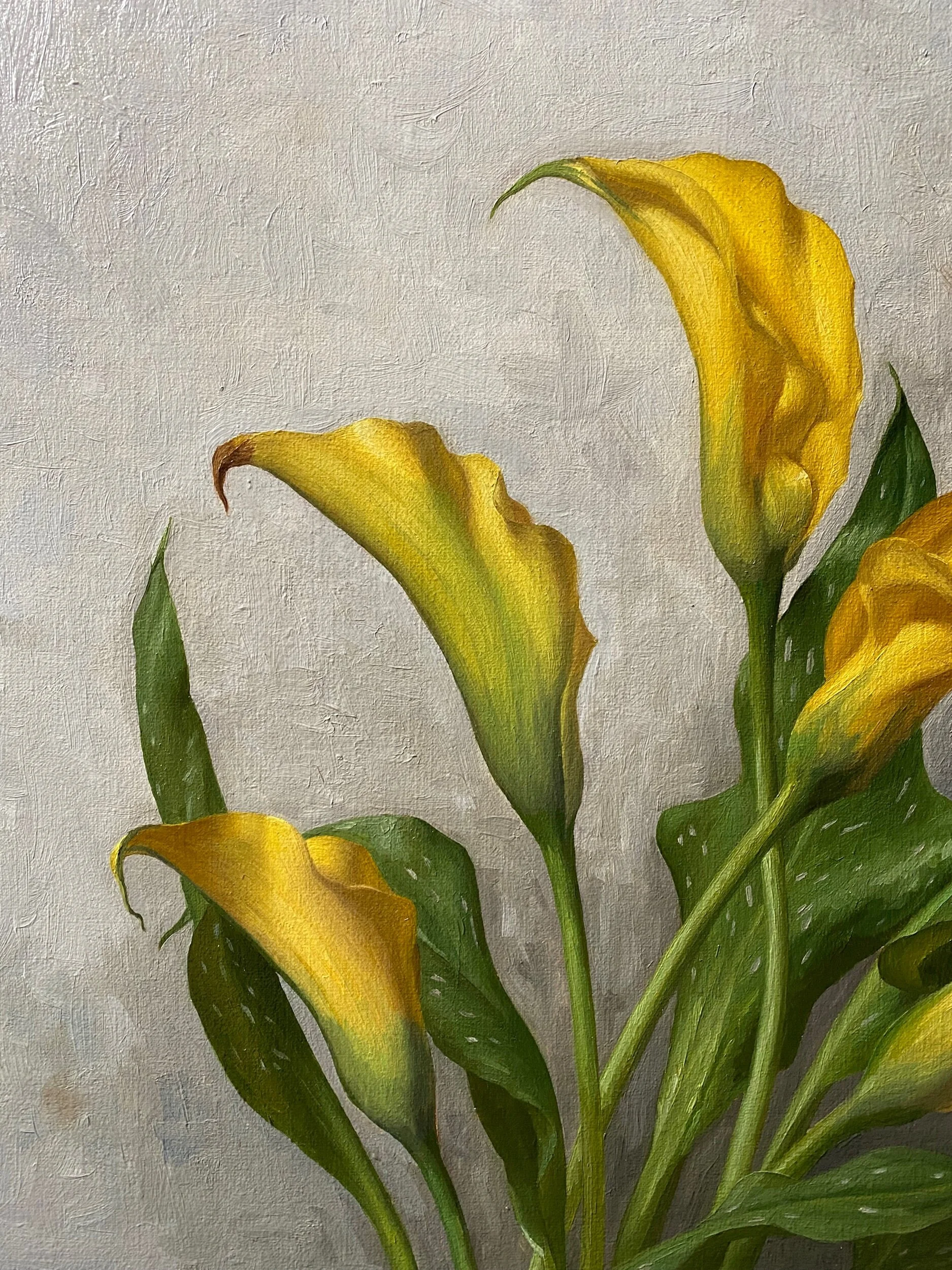 0EB7DA80-EADB-4B05-A9C5-6F366BDFA6DF