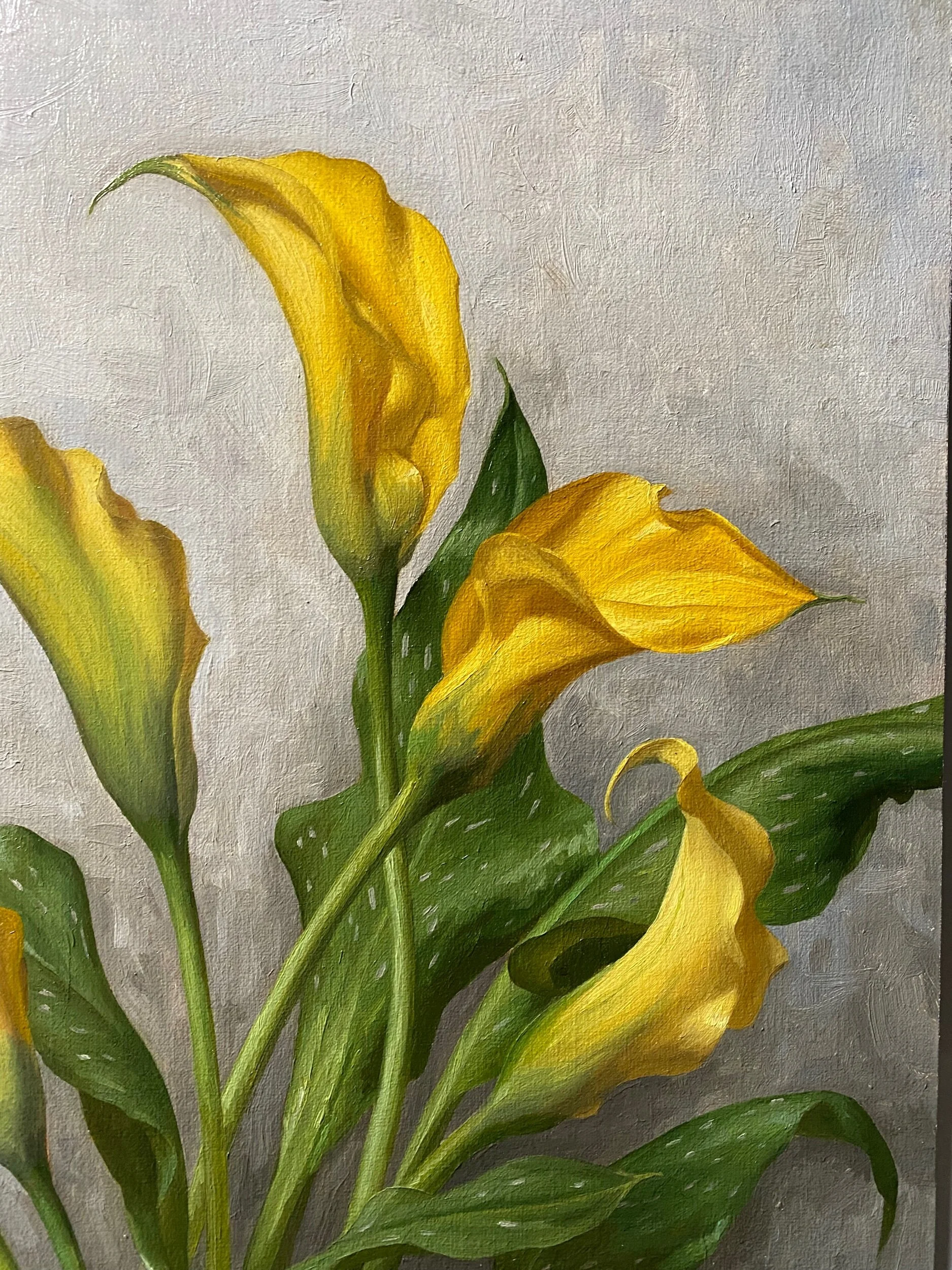 F9EE455D-169C-439C-BA9B-D9318EBFE34D