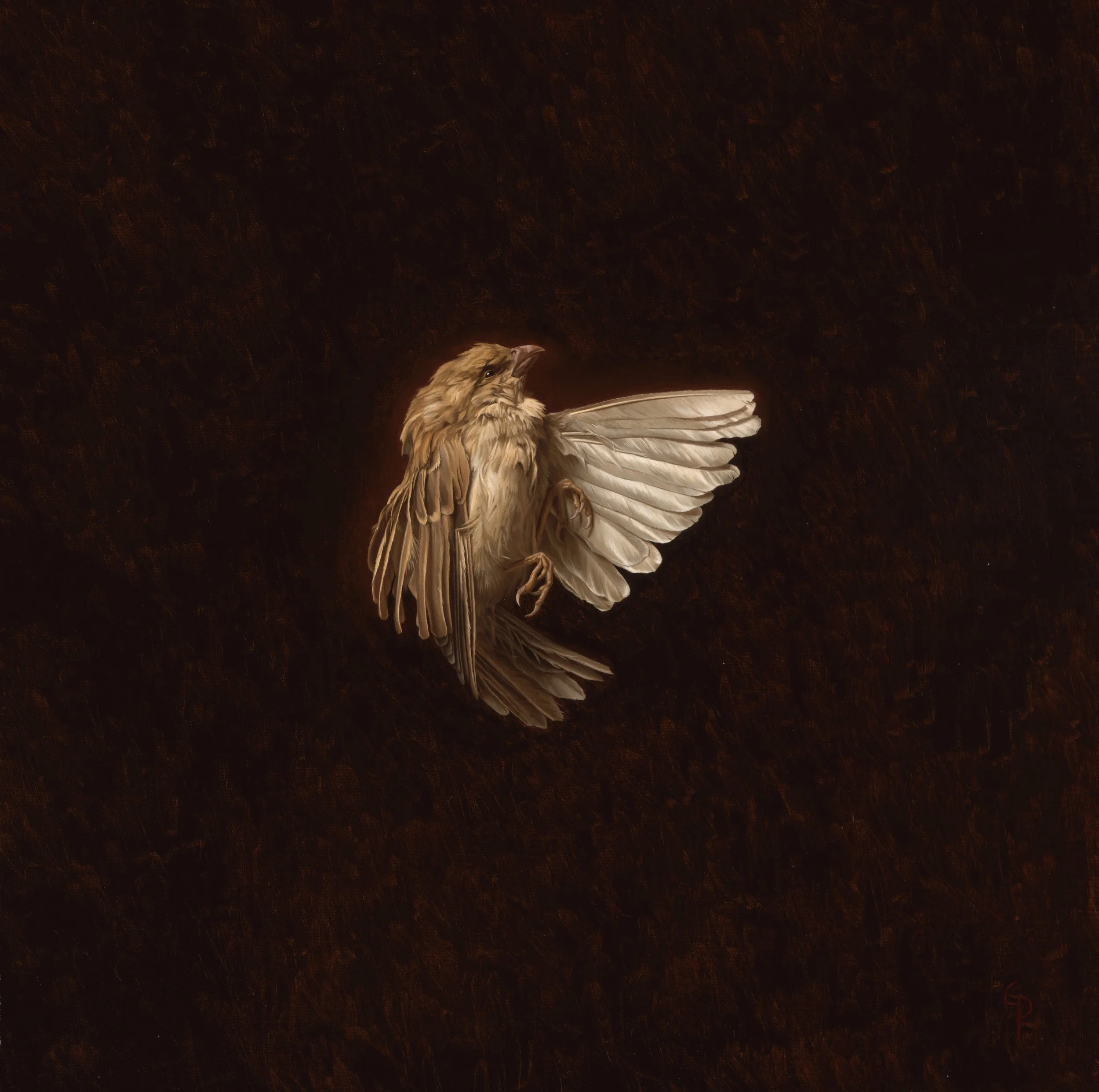 grantperry_040725_2 3.jpg