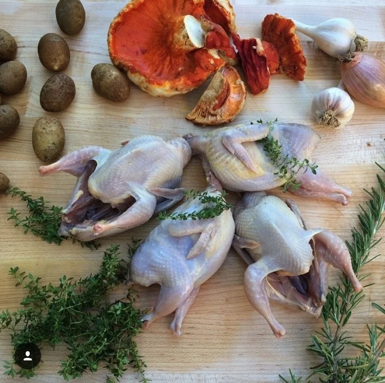 Fresh quail & kitchen herbs. - Photo Courtesy of Chris McManus -