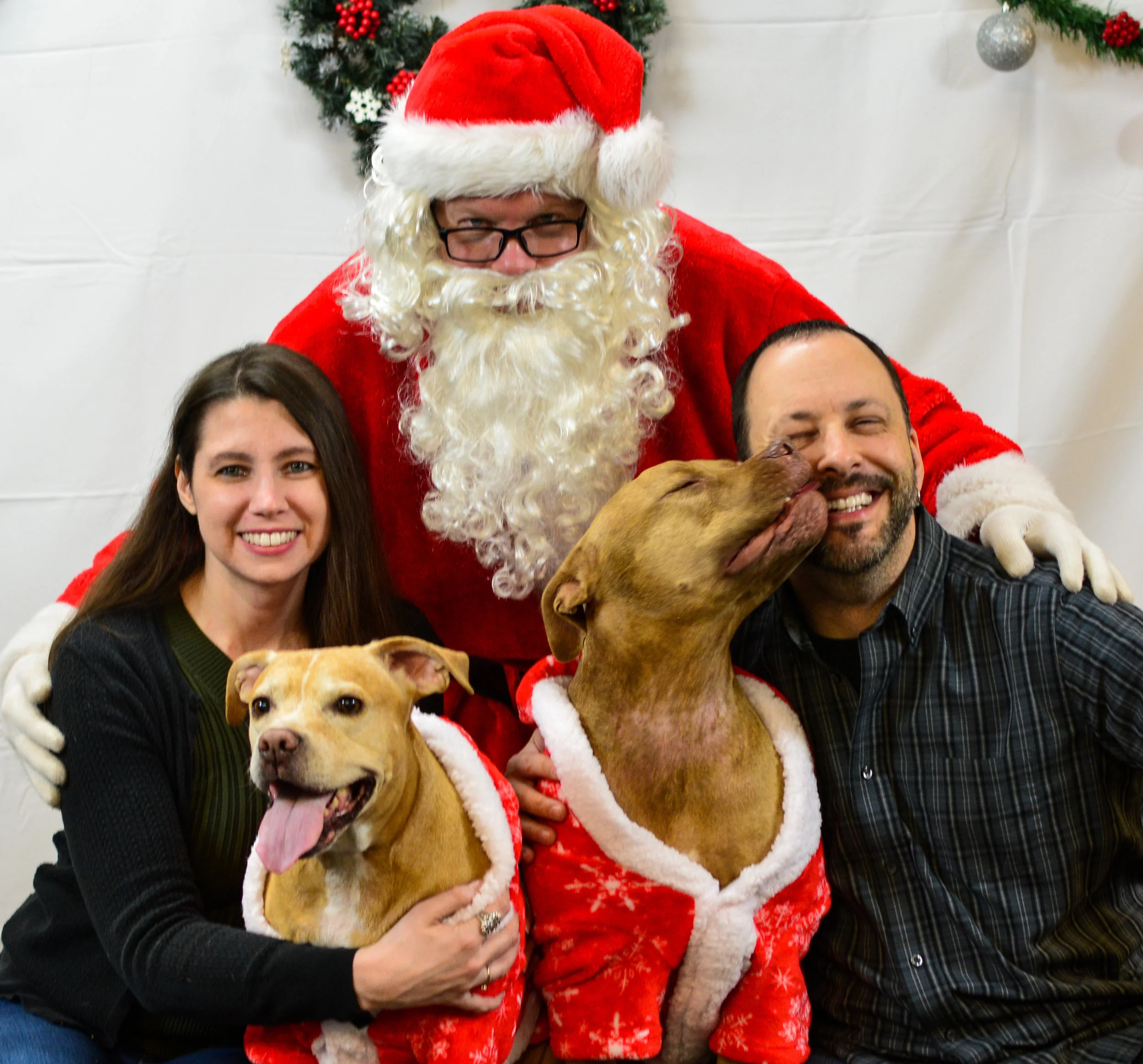 Happy Holidays from the Holistic Dog Mom Family! Thanks to Photos by Ashley for our 2018 family portrait.