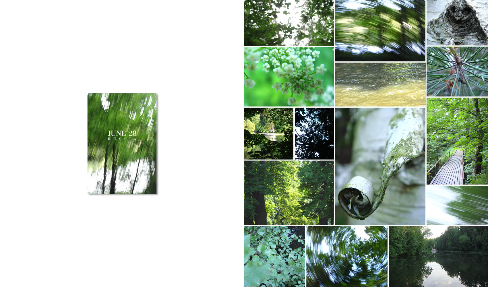 Publications__Russian Forest__2.jpg