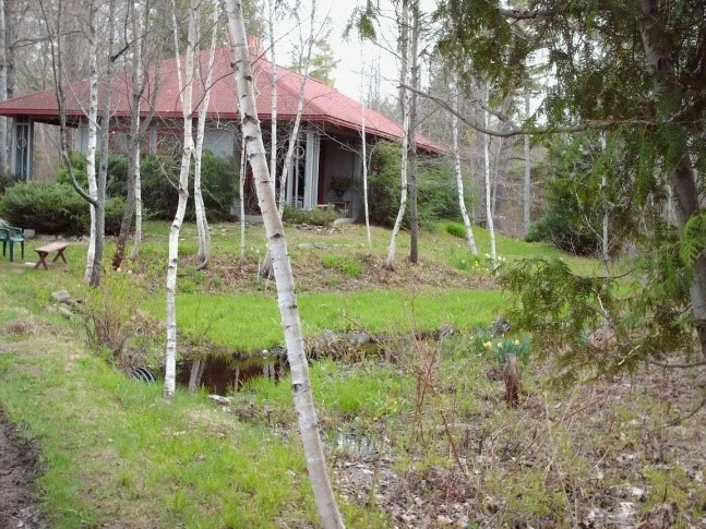 cabin.jpg