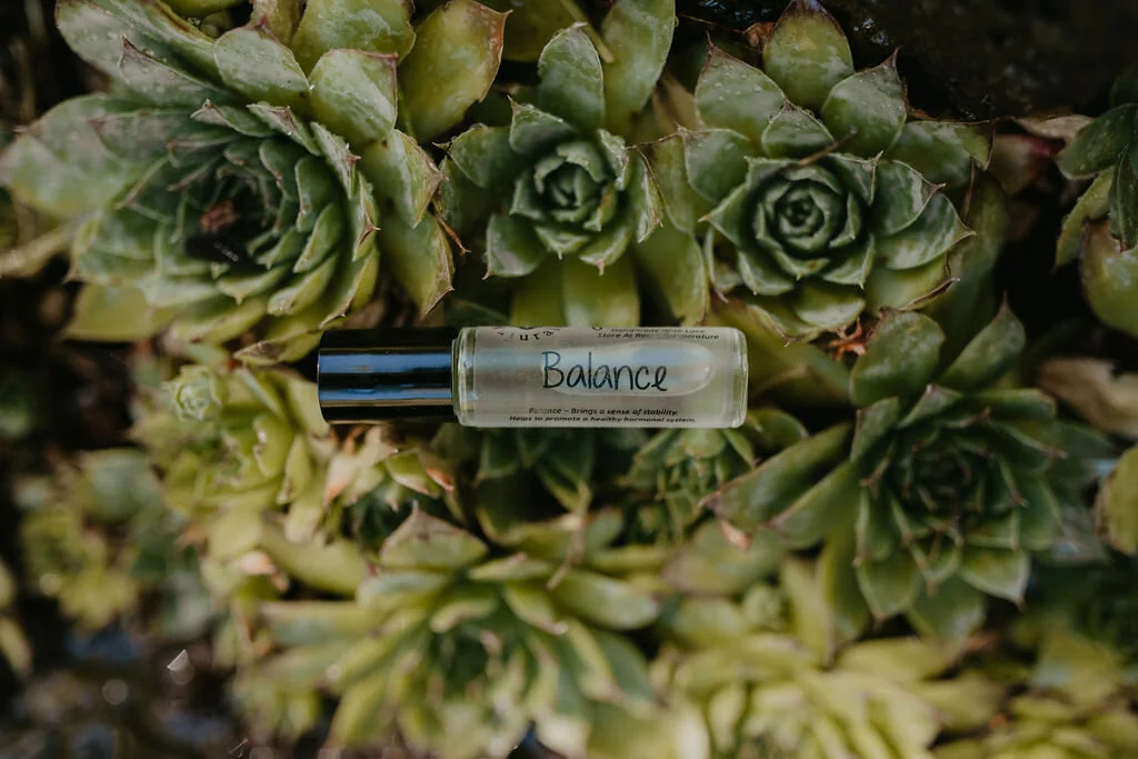 6D5F3F89-0BC5-4D7F-90B6-A04146571B5B