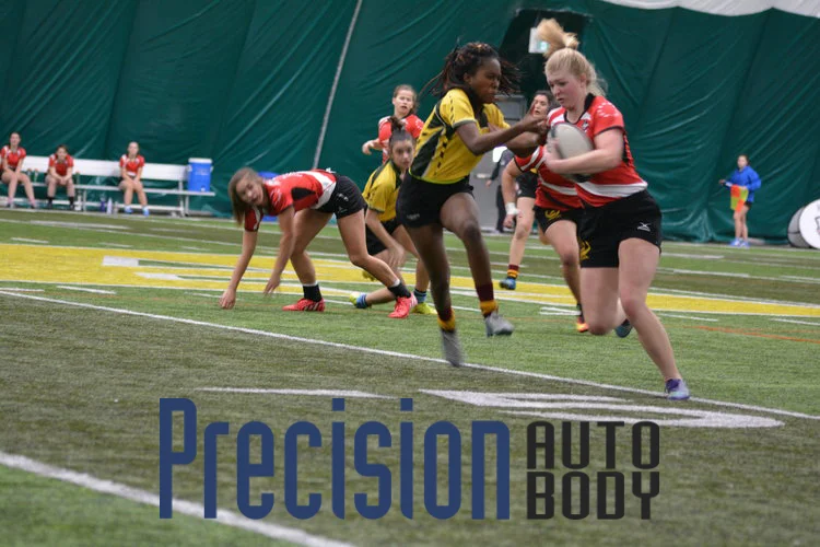 Precision-Preds.jpg