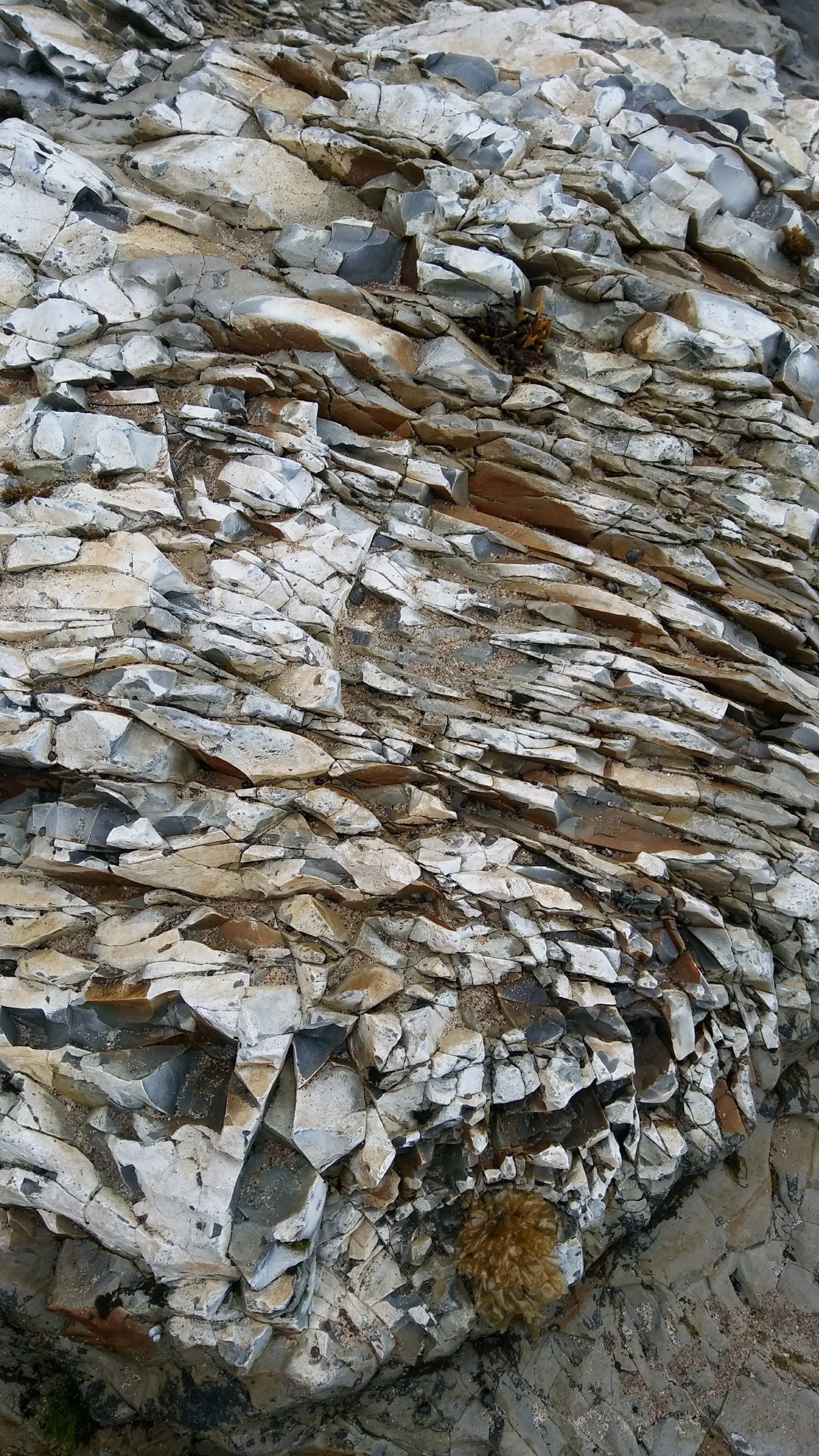 Contact — Atchison, Barisone & Condotti