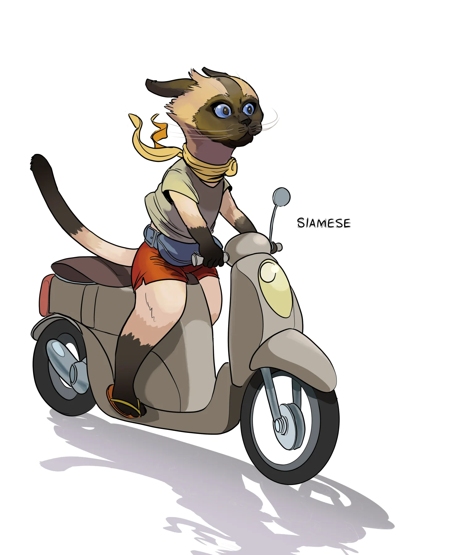 siamese.jpg