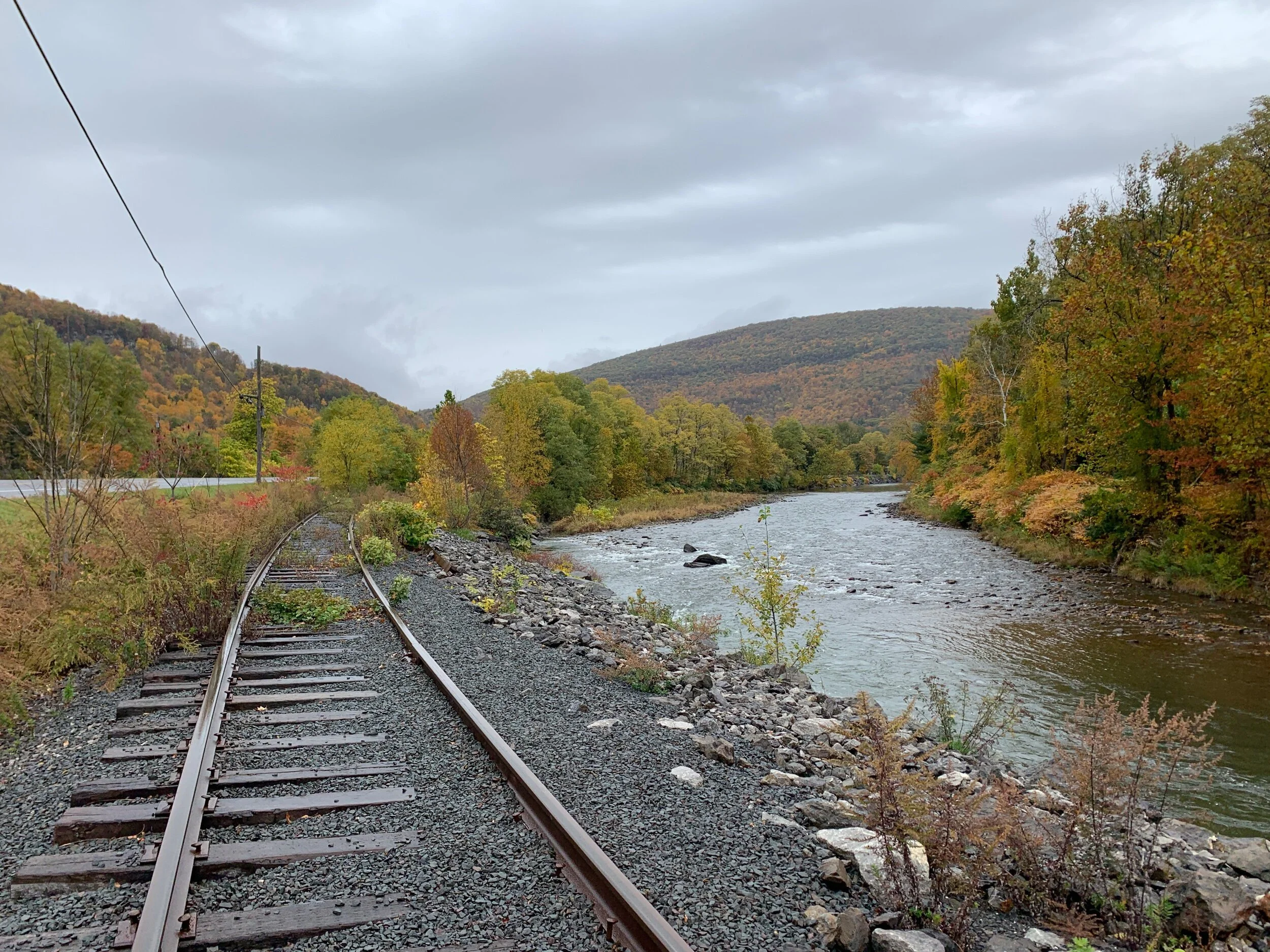 You get to ride the rails through the trees, by local neighborhoods, and along the Esopus Creek.
