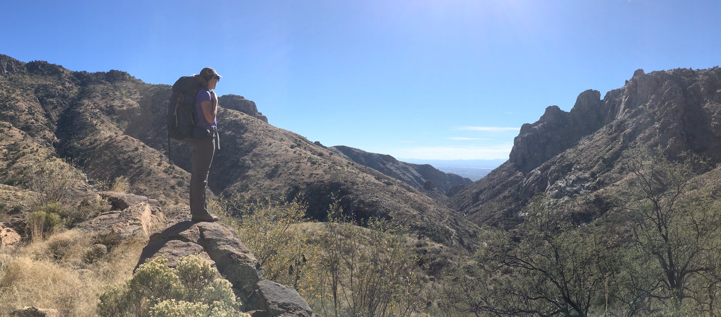bear_canyon.jpeg