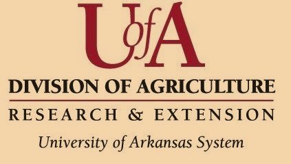 UofA+Division+of+Arkansas.jpg