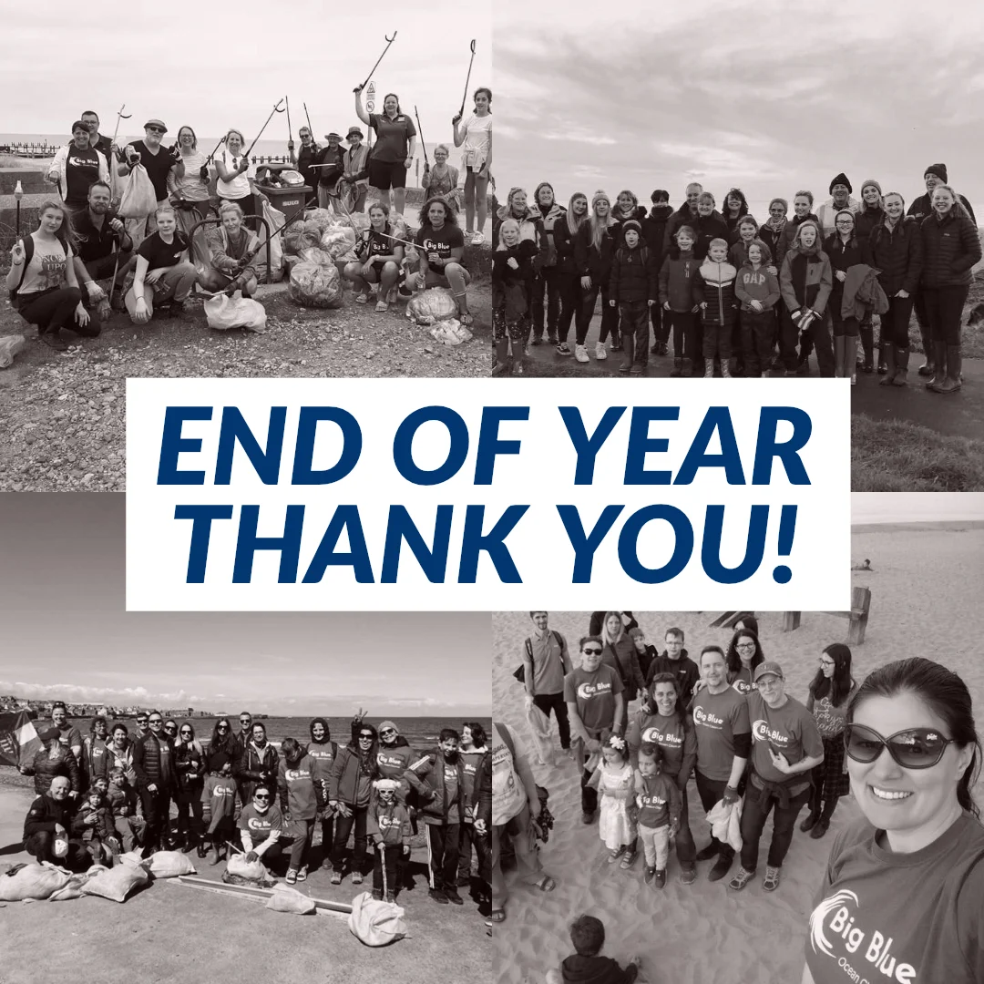 End of year thank you!