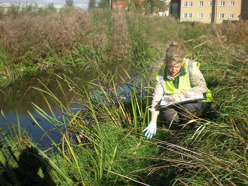 Blackdown Environmental protecting our blue planet.