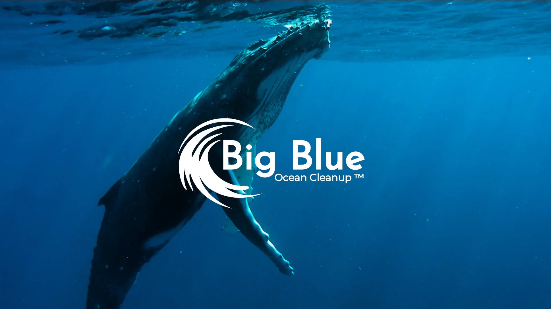 Watch our new film "Turning the Tide of Plastic"