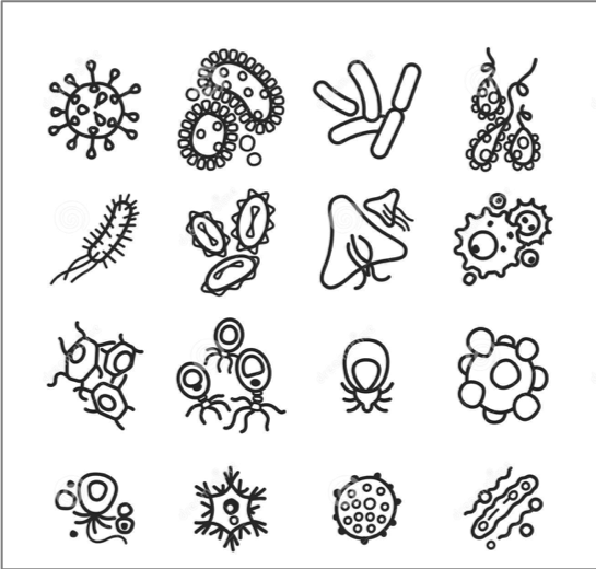 Photo: https://cartoondealer.com/image/53657929/vector-bacteria-virus-icons-set.html