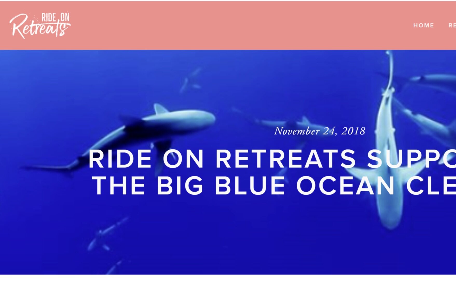 Ride+on+Retreats+supporting+the+Big+Blue+Ocean+Cleanup%21+%E2%80%94+Ride+on+Retreats+-+Google+Chrome+03_05_2020+14_46_10.jpg
