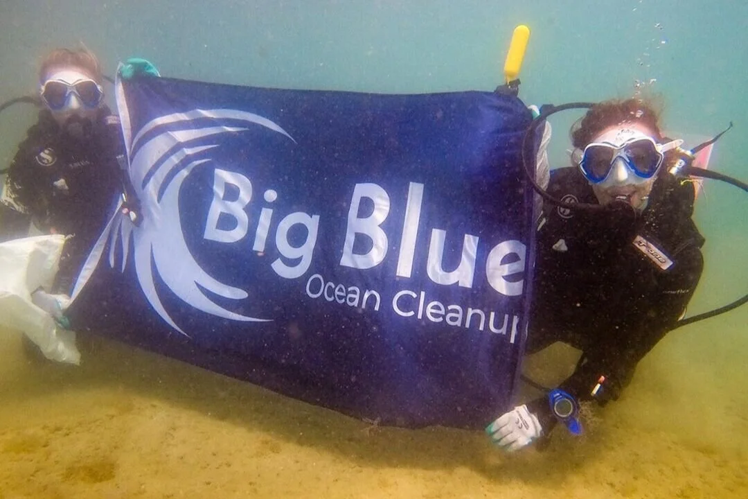 How is Climate Change Impacting Our Oceans?