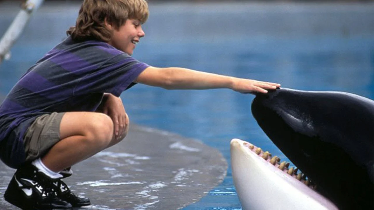 On Why it is Time to Free our Wild Marine Mammals from Captivity