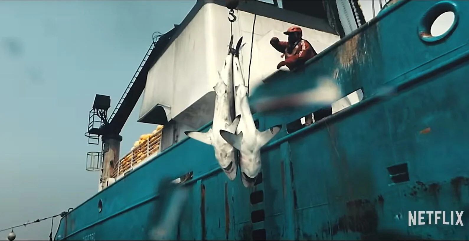 A Summary of Seaspiracy; A Shock to the System