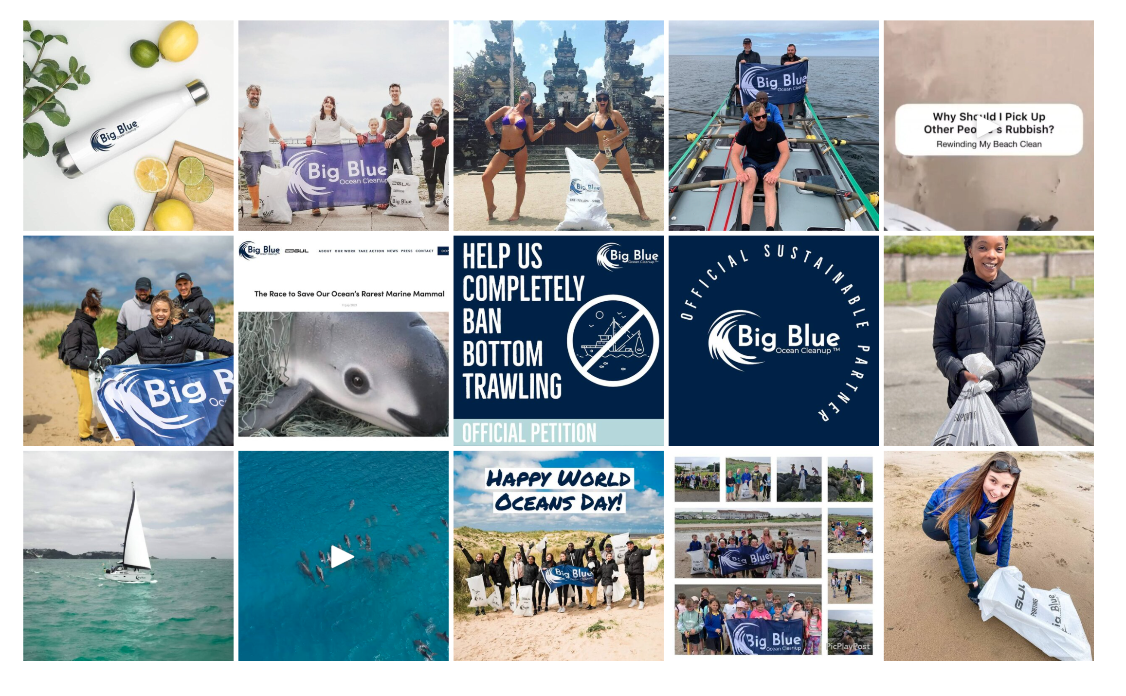 Mobile Phone Apps That Can Help You Save the Ocean