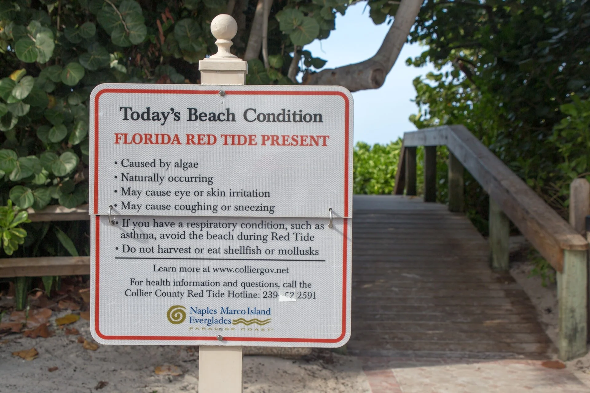 2021 Has Brought One of the Worst Red Tides to Florida in Decades