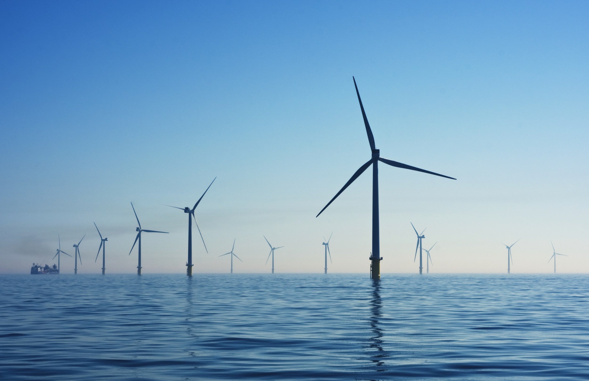 Are Offshore Wind Farms a Friend or Foe of Marine Life? — Big Blue