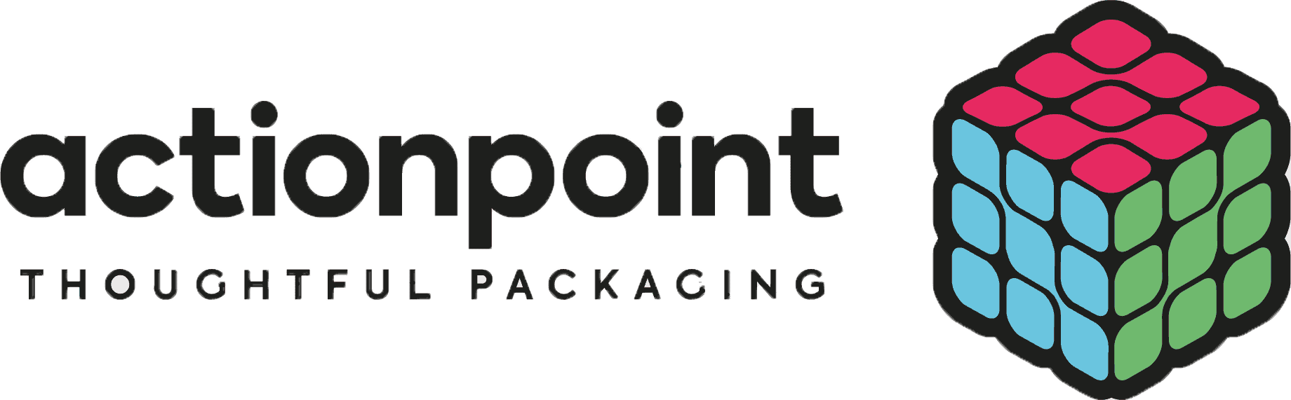 Actionpoint-New-Logo-For-Website.png