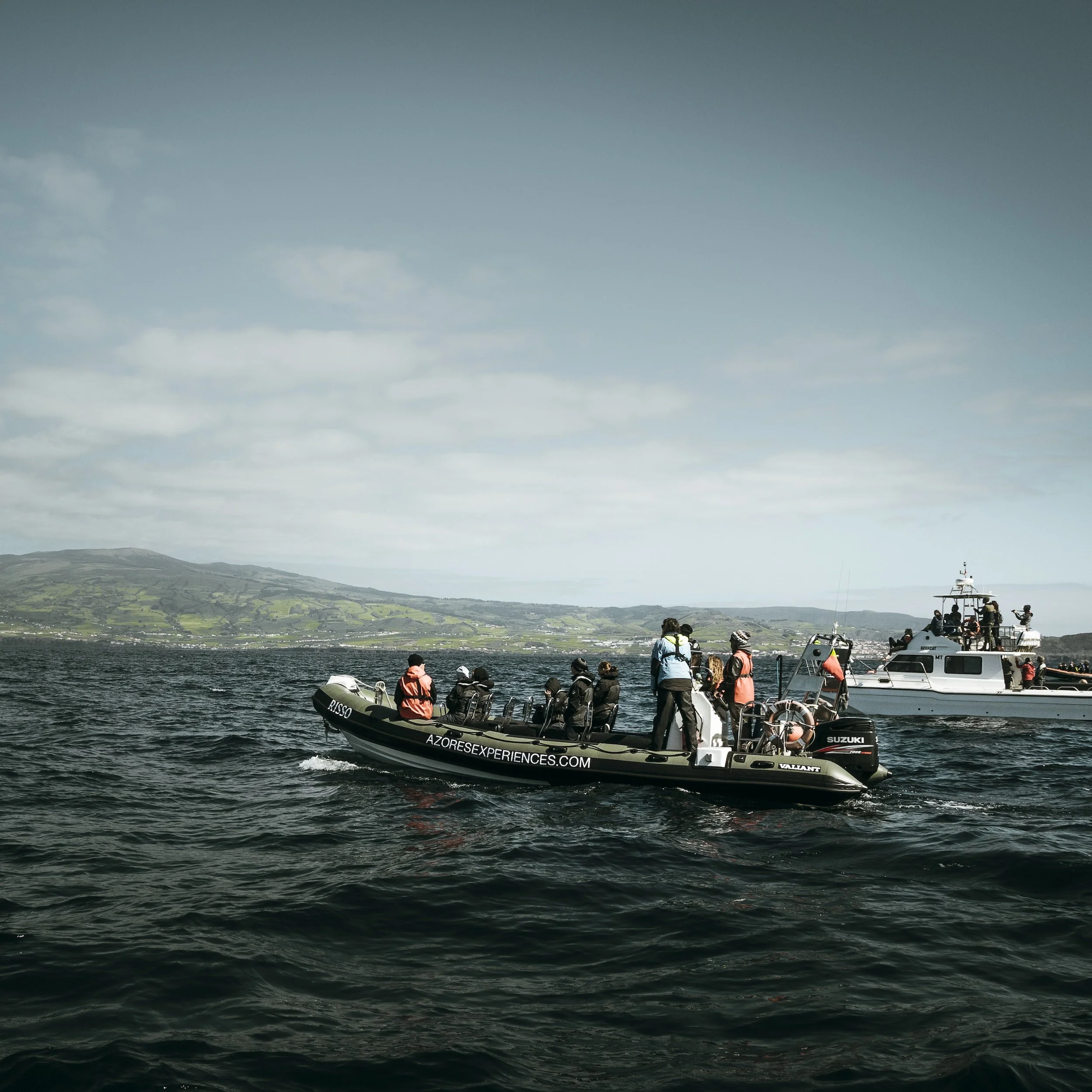 Take the Sustainable Approach to Wildlife Tourism