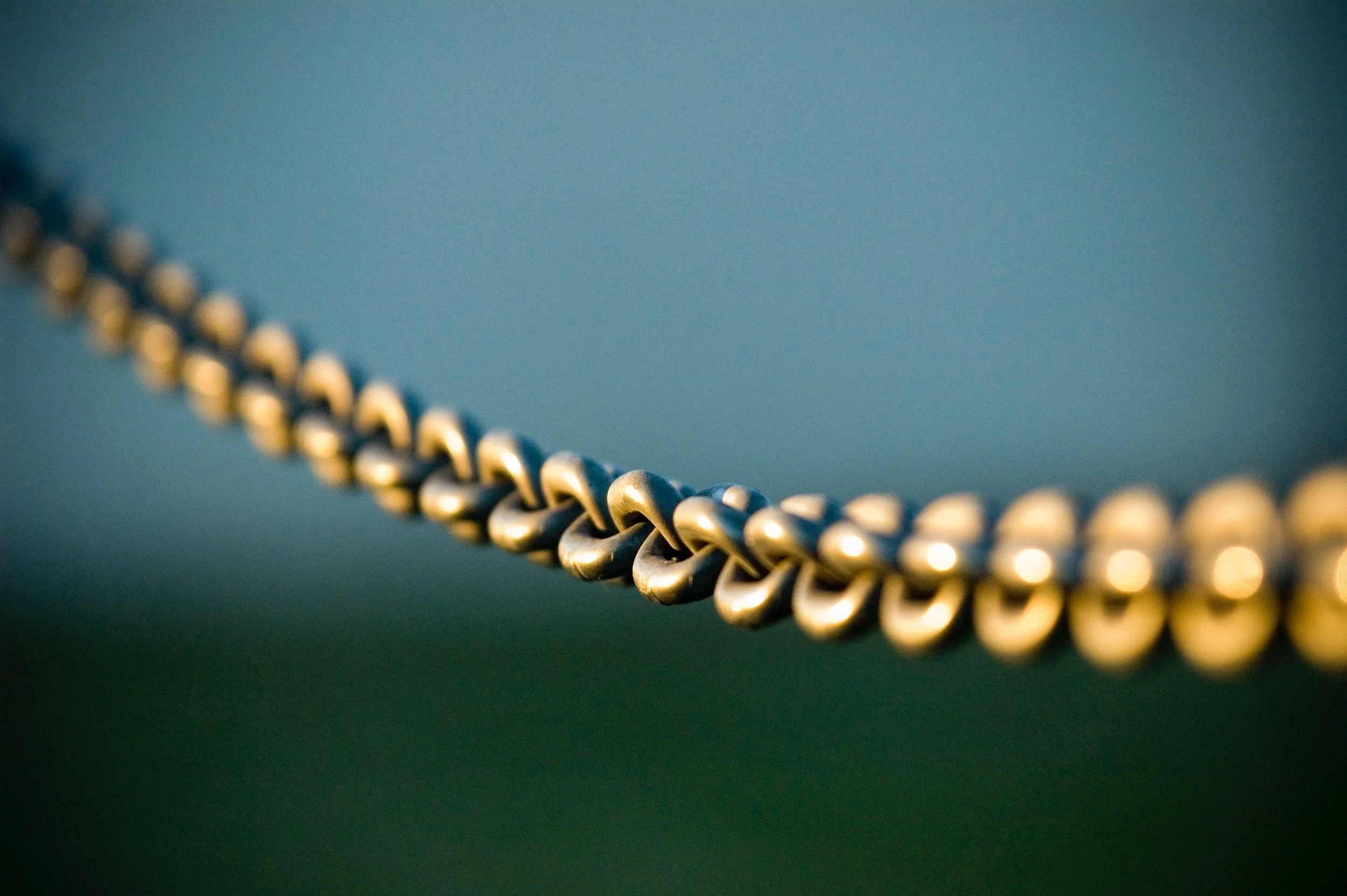 Photo by Mike Alonzo on Unsplash