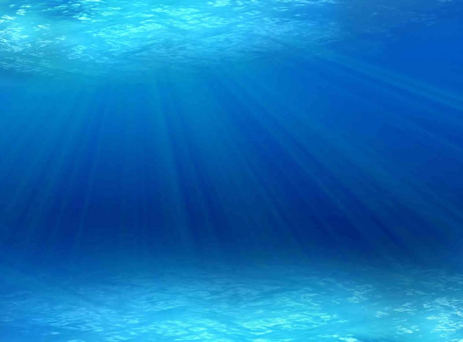 UNDER SEA.jpg