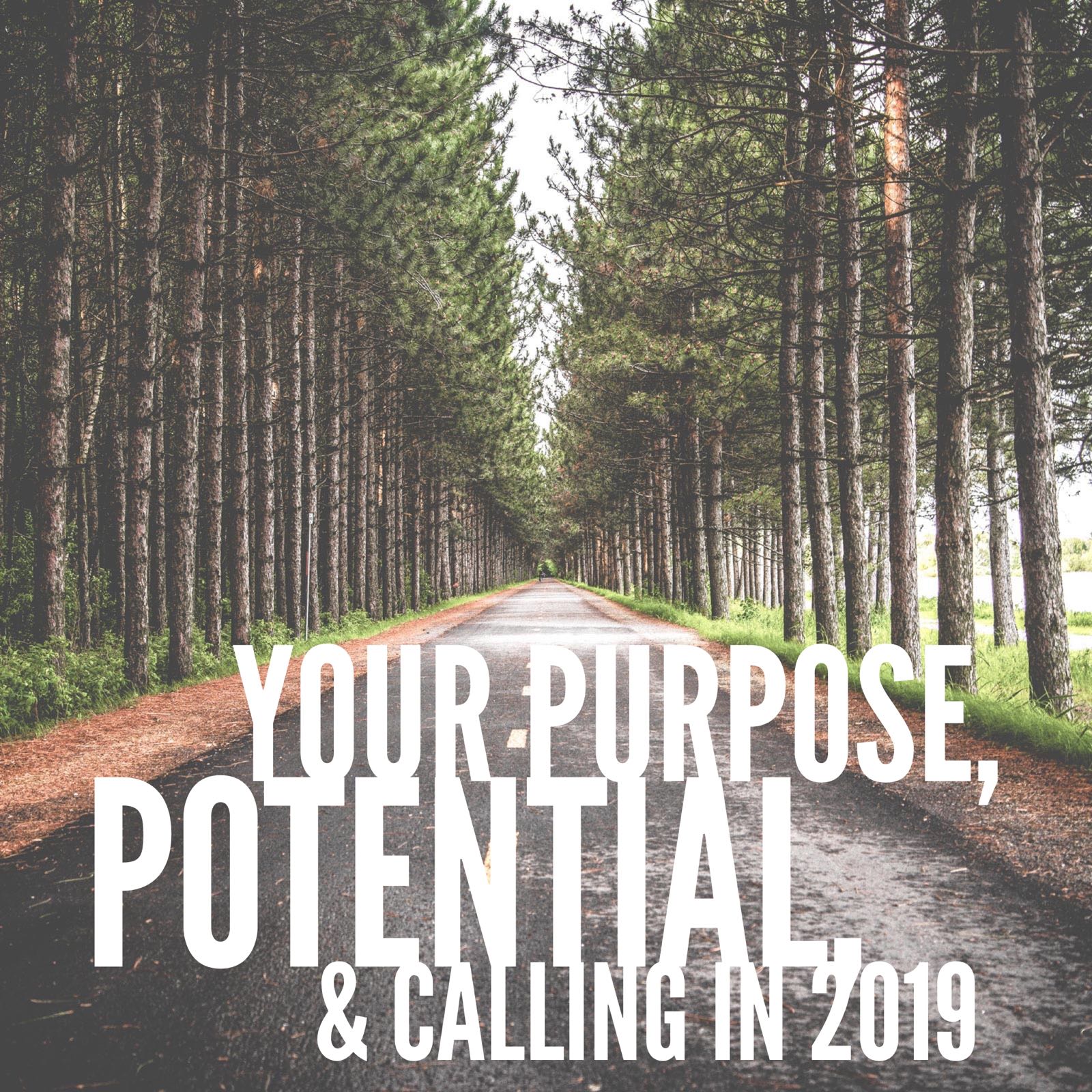 purpose-potential-callin-2019.jpeg