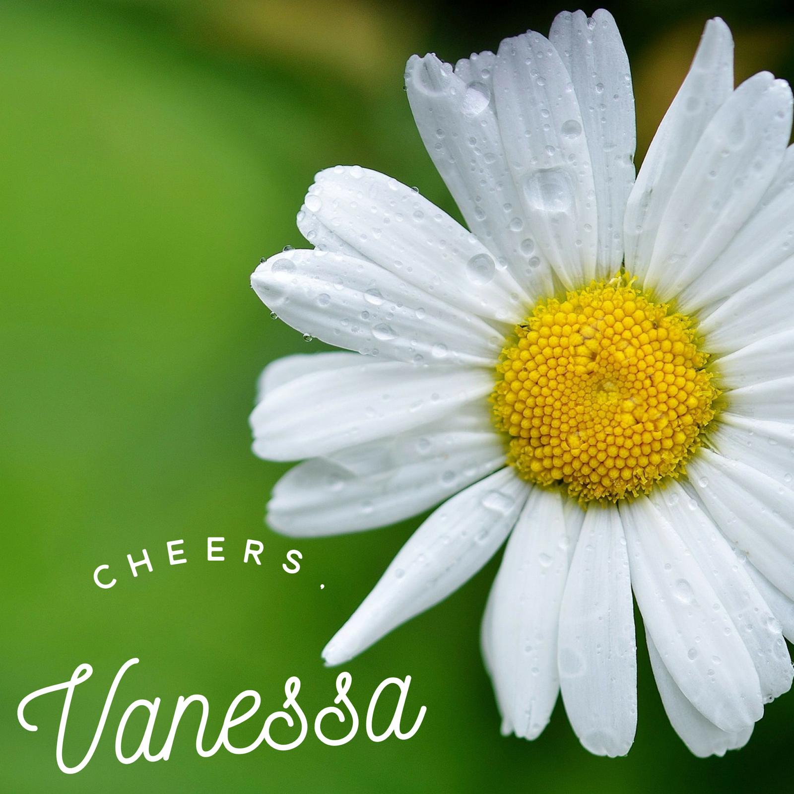 cheersvanessa.jpeg