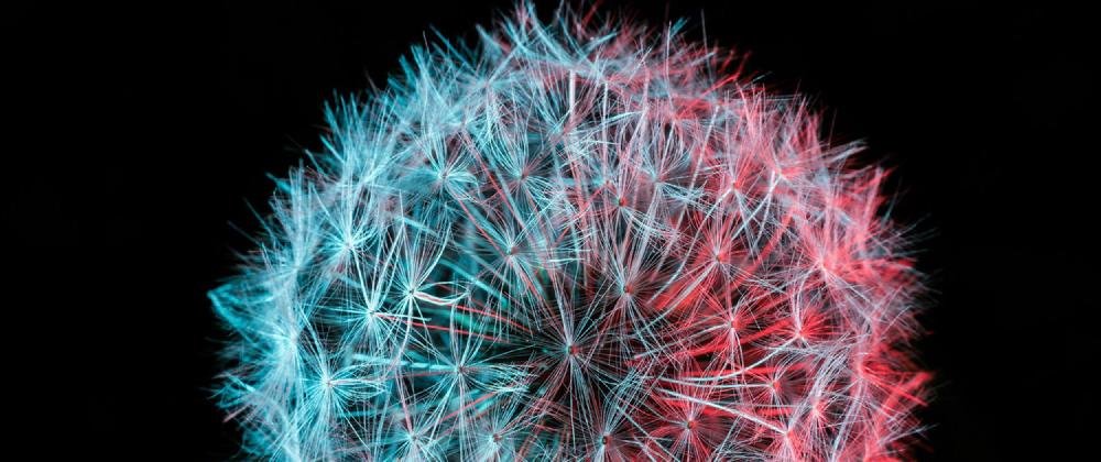 XL: 40 years of The Tudor Consort