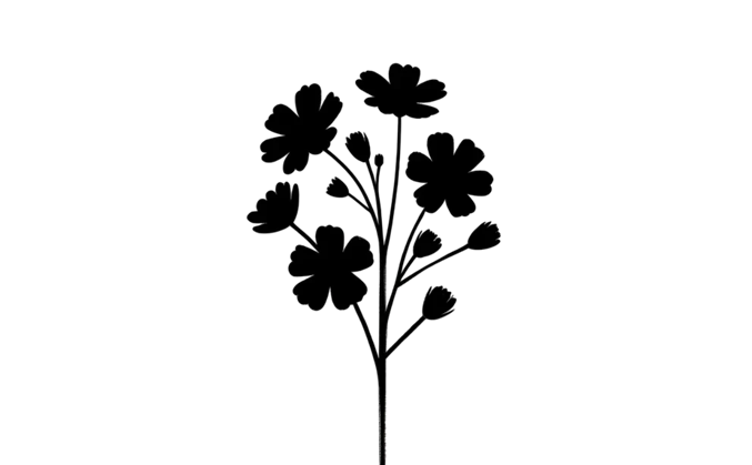 Armenian Genocide Commemoration