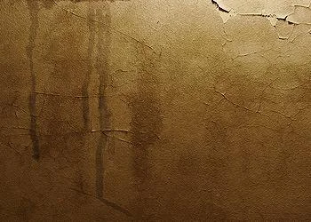stains-mold-mildew-ceilings-walls-palmer-roofing-sonoma-county.jpg