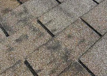 dark-dirty-shingle-palmer-roofing-sonoma-county.jpg