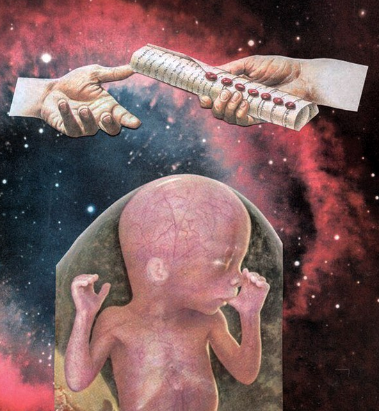 Screen Shot 2018-01-11 at 1.48.29 AM.png