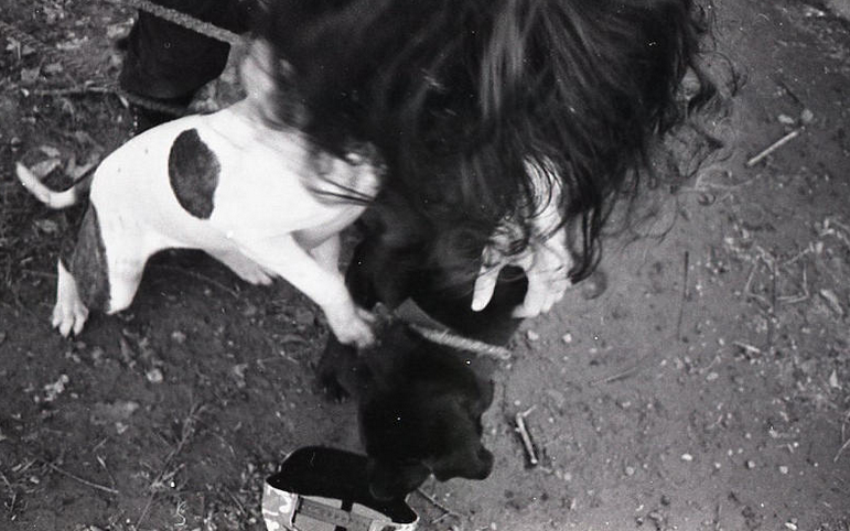 Screen Shot 2018-01-11 at 2.03.48 AM.png