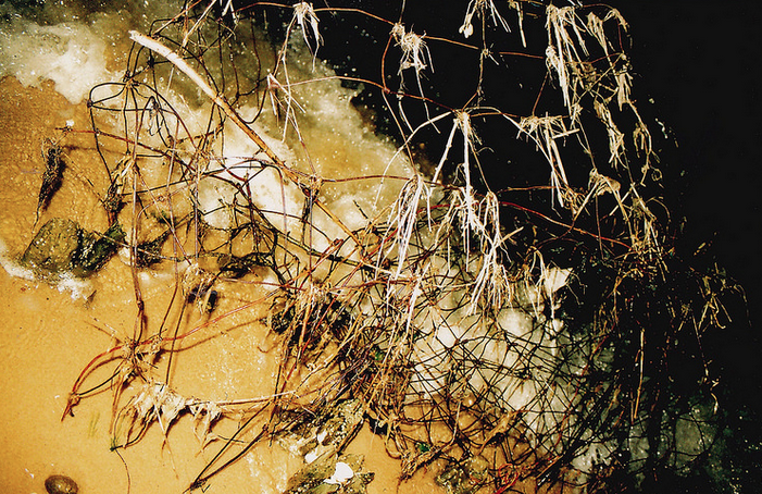 Screen Shot 2018-01-11 at 2.43.25 AM.png